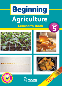 Beginning Agriculture - Learner's Book Grade 5