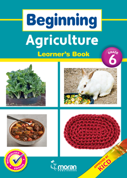 Beginning Agriculture - Learner's Book Grade 6